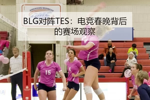 BLG对阵TES：电竞春晚背后的赛场观察