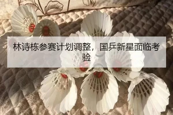 林诗栋参赛计划调整，国乒新星面临考验